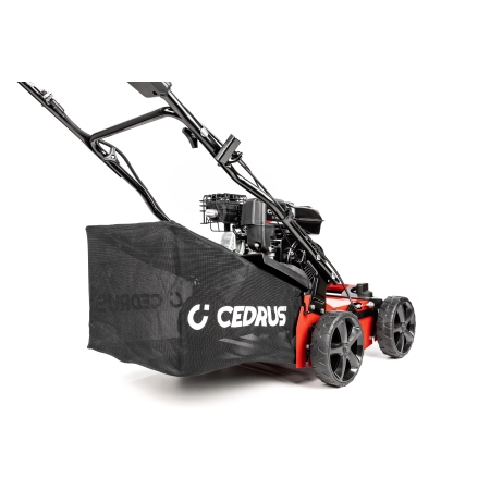 CEDRUS WR01-B 2w1 Wertykulator spalinowy prawy tył