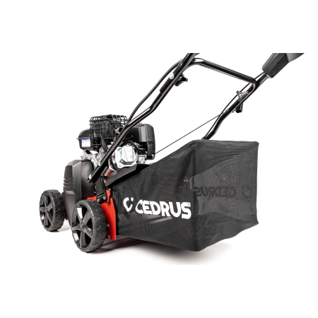 CEDRUS WR01-B 2w1 Wertykulator spalinowy lewy tył