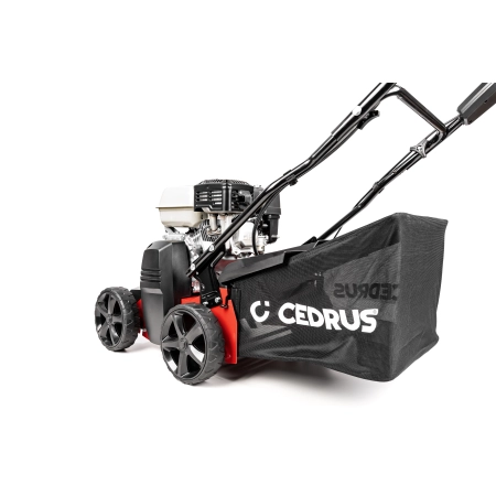 CEDRUS WR01-H 2w1 Wertykulator spalinowy lewy tył