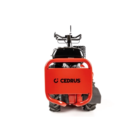 GL03 PRO B&S Glebogryzarka Cedrus przód