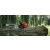 ECHO CS-621SX Pilarka spalinowa w plenerze ECHO CS-621SX Pilarka spalinowa w plenerze
