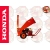 Rębak do gałęzi GTS900H HONDA GTS 900 H 5-letnia gwarancja.