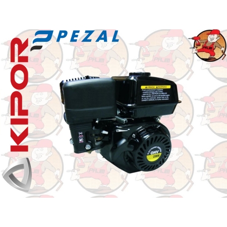 PG200D2 Silnik Pezal wał 19,00mm 6,5km PEZAL PG 200 D 2