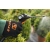 STIHL SGA85 Akumulatorowy opryskiwacz plecakowy / cm / 36V / 48540117004
