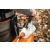 STIHL BGA200 Akumulatorowa dmuchawa / 302km/h / 36V / BA010115900