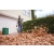 STIHL BGA50 Zestaw akumulatorowa dmuchawa AK20+AL101 / 198km/h / 36V