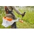 STIHL FSA135 Akumulatorowa kosa żyłkowa / 26cm / 36V / FA012000022