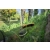 STIHL FSA200 Zestaw akumulatorowa kosa żyłkowa 2xAP500S+AL301 / 26cm / 36V / FA032000057