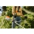 STIHL FSA80 Zestaw akumulatorowa kosa tarczowa AK20+AL101 / 23cm / 36V