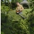 STIHL HSA60 Zestaw akumulatorowe nożyce do żywopłotu AK10+AL101 / 60cm / 36V / HA060113548