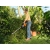 STIHL HSA60 Zestaw akumulatorowe nożyce do żywopłotu AK10+AL101 / 60cm / 36V / HA060113548