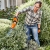 Nożyce akumulatorowe STIHL HSA 26