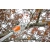 STIHL HTA50 Zestaw akumulatorowa podkrzesywarka łańcuchowa AK20+AL101 / 25cm / 36V