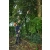 STIHL HTA66 Akumulatorowa podkrzesywarka łańcuchowa / 30cm / 36V / LA032000001 STIHL HTA66 Akumulatorowa podkrzesywarka łańcuchowa / 30cm / 36V / LA032000001