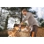 STIHL MSA70C-B Akumulatorowa pilarka łańcuchowa / 30cm / 36V