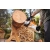 STIHL MSA80C-B Akumulatorowa pilarka łańcuchowa / 35cm / 36V