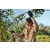 STIHL ASA20 Akumulatorowy sekator / 25mm / 10,8V