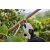 STIHL ASA20 Zestaw akumulatorowy sekator AS2+AL1 / 25mm / 10,8V